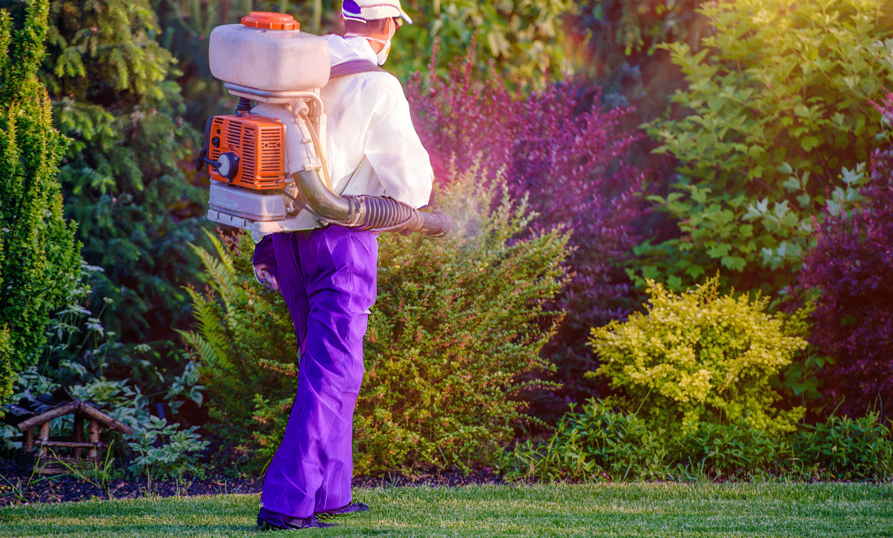 Pest control technician spraying in garden